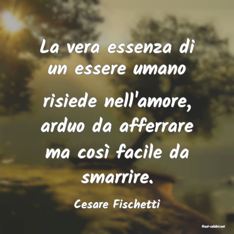 frasi di  Cesare Fischetti
