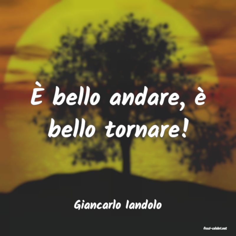 frasi di  Giancarlo Iandolo
