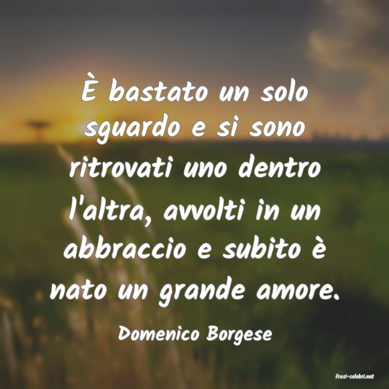 frasi di  Domenico Borgese
