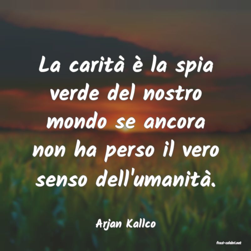 frasi di Arjan Kallco
