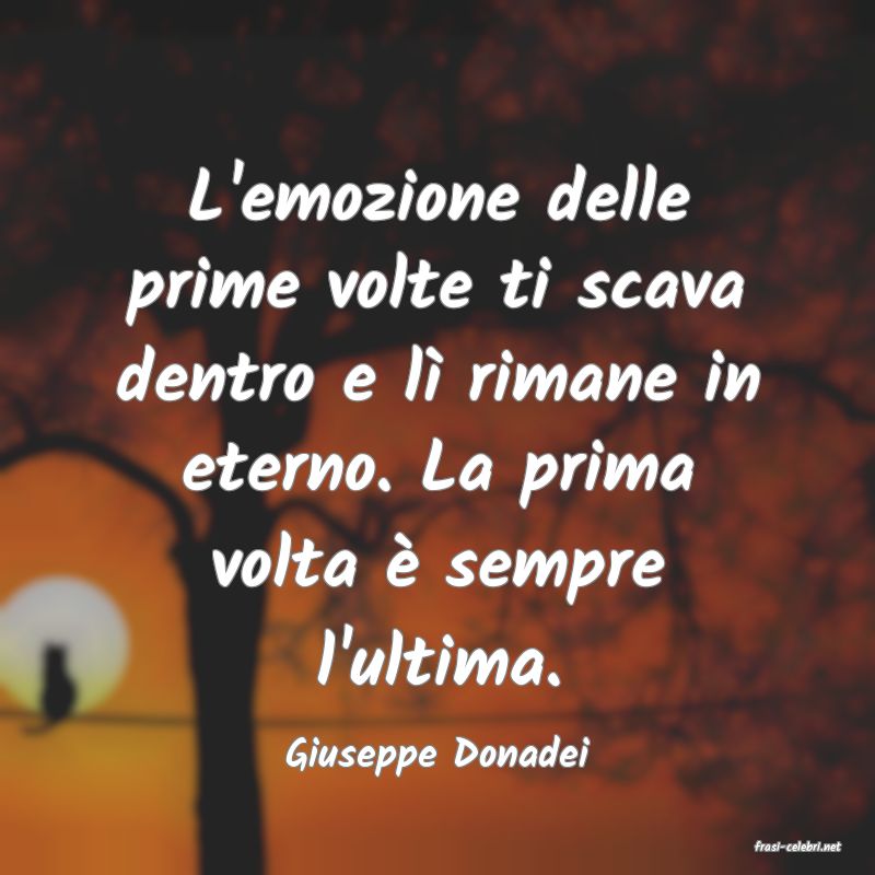 frasi di  Giuseppe Donadei
