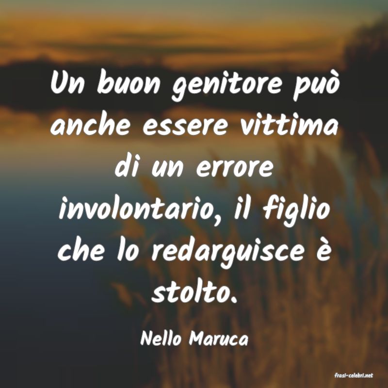 frasi di  Nello Maruca
