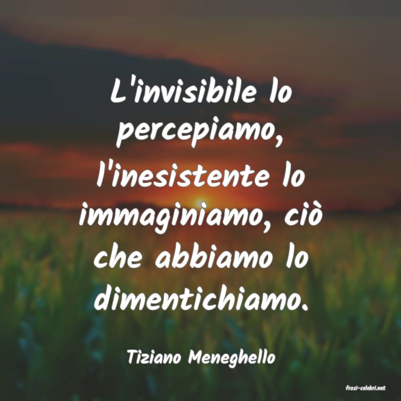 frasi di Tiziano Meneghello