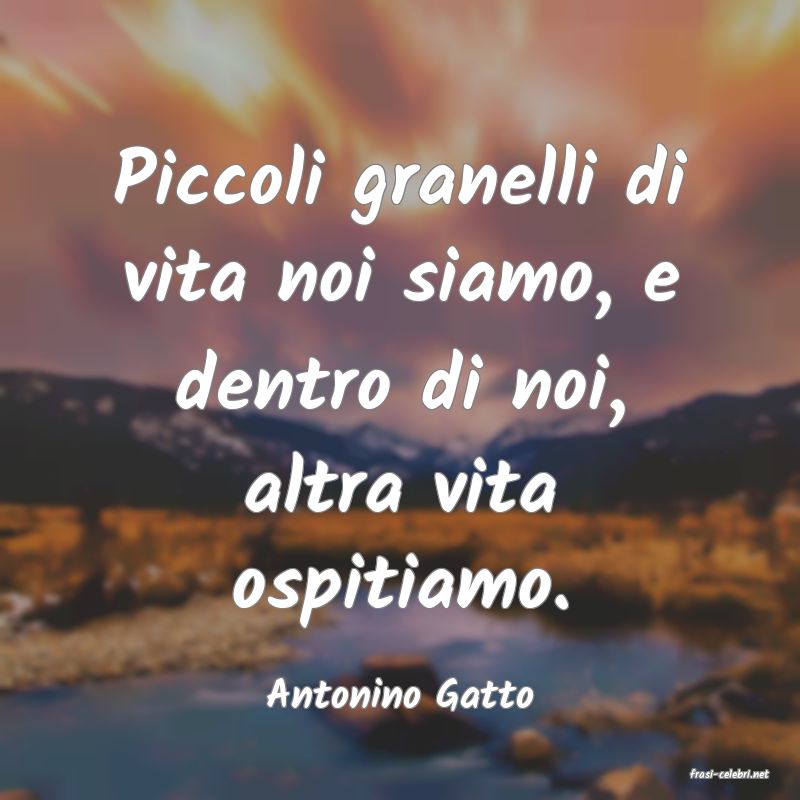 frasi di  Antonino Gatto
