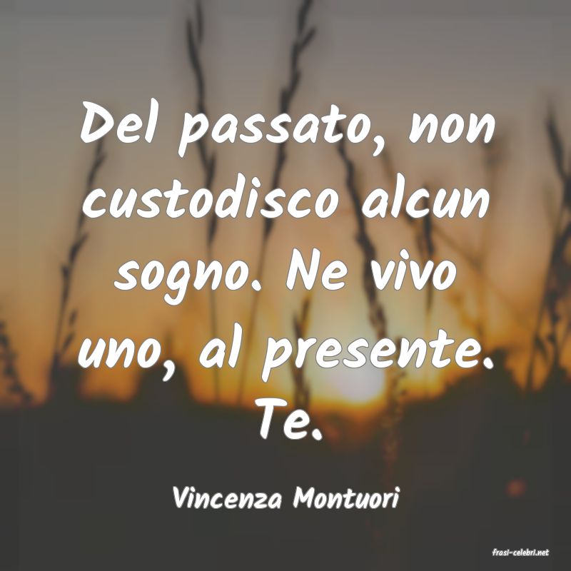 frasi di  Vincenza Montuori
