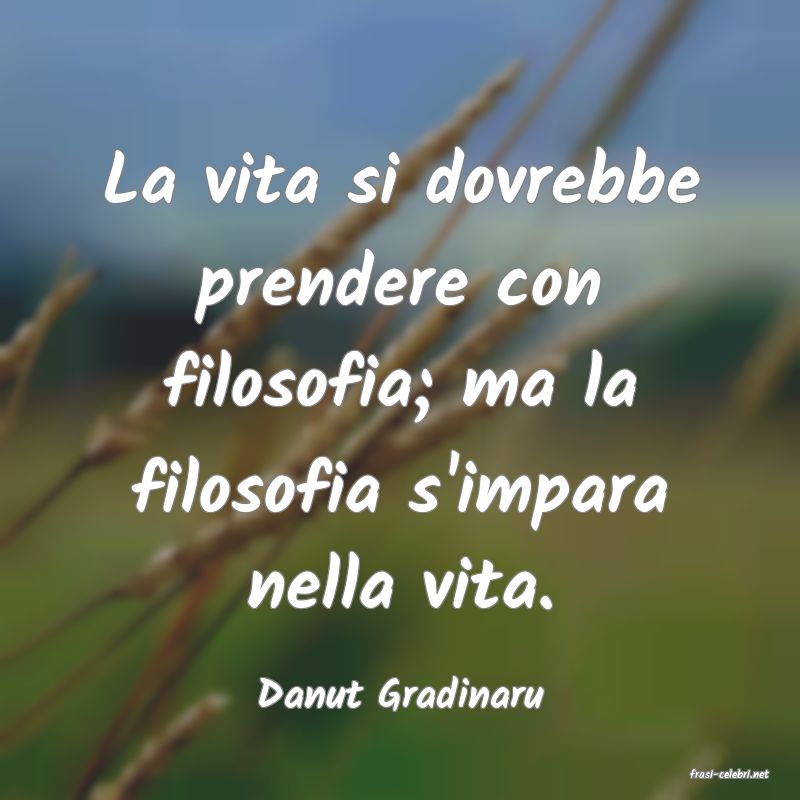 frasi di  Danut Gradinaru
