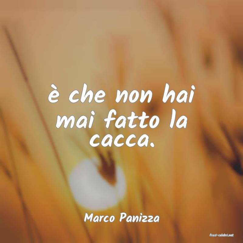 frasi di Marco Panizza