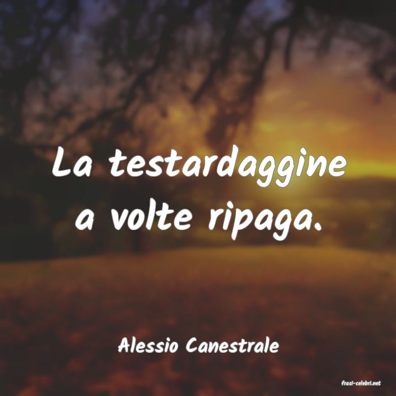 frasi di  Alessio Canestrale
