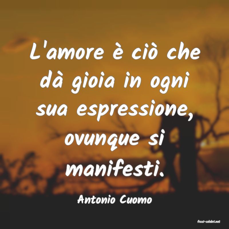 frasi di  Antonio Cuomo
