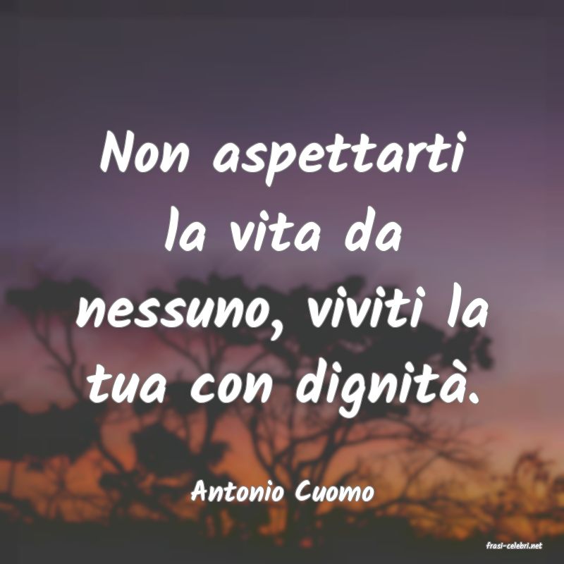 frasi di  Antonio Cuomo
