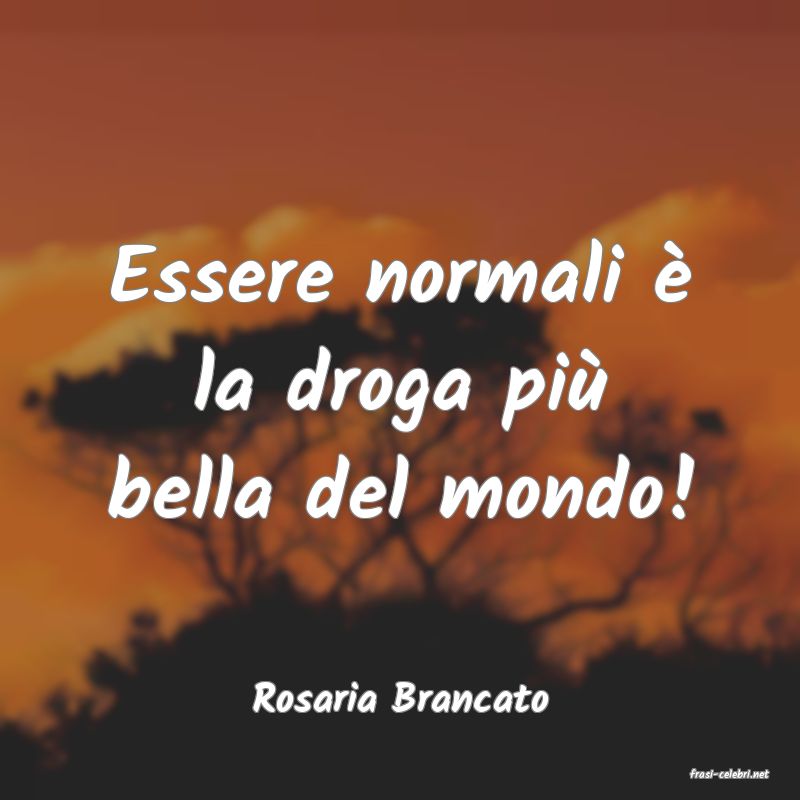 frasi di  Rosaria Brancato
