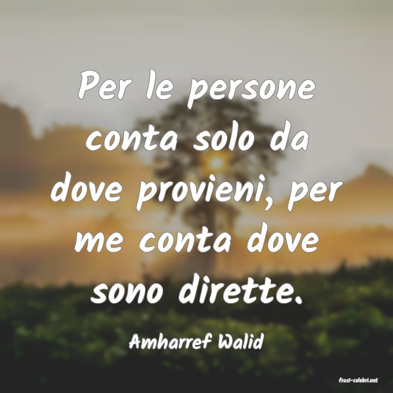 frasi di  Amharref Walid
