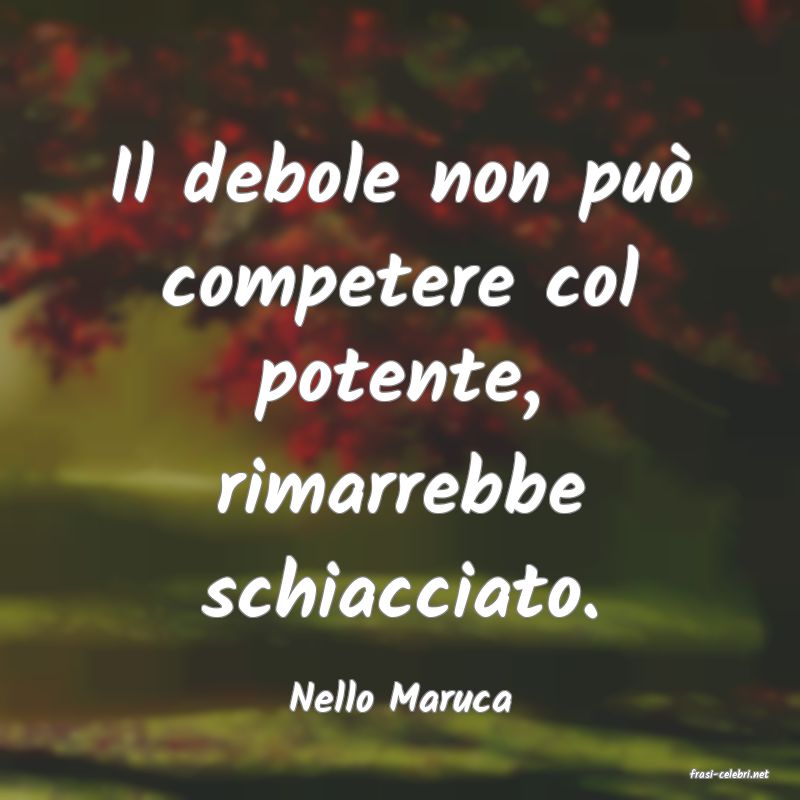 frasi di  Nello Maruca
