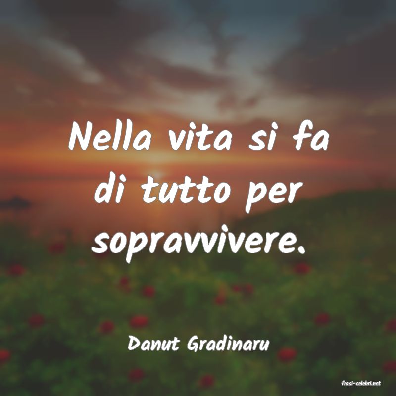 frasi di  Danut Gradinaru
