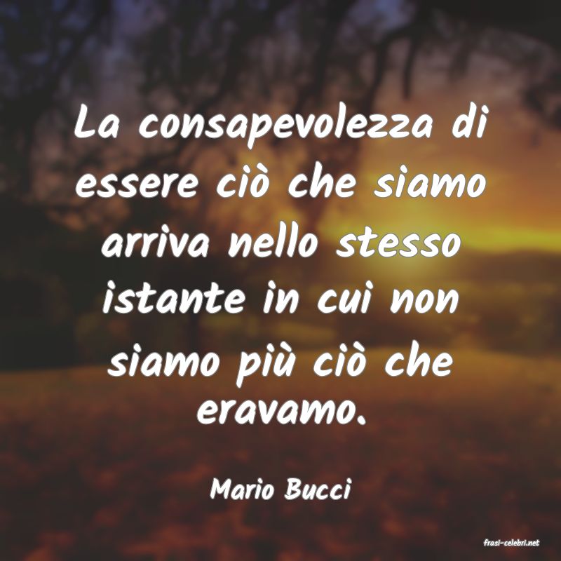 frasi di  Mario Bucci

