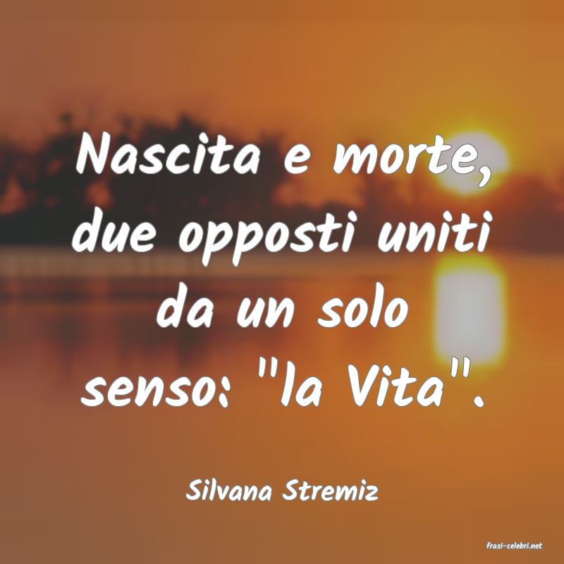 frasi di  Silvana Stremiz
