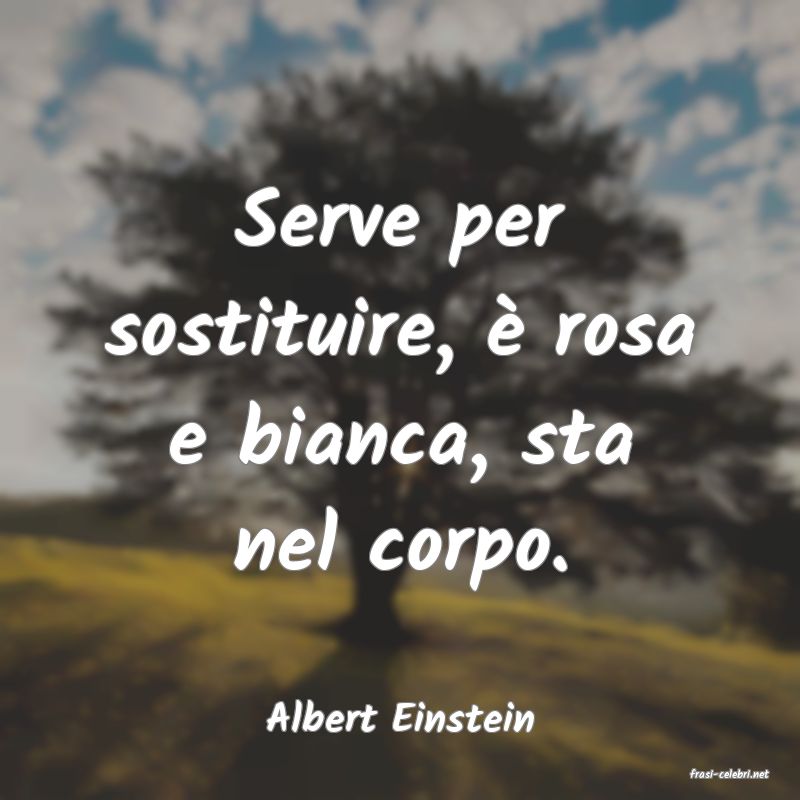 frasi di Albert Einstein