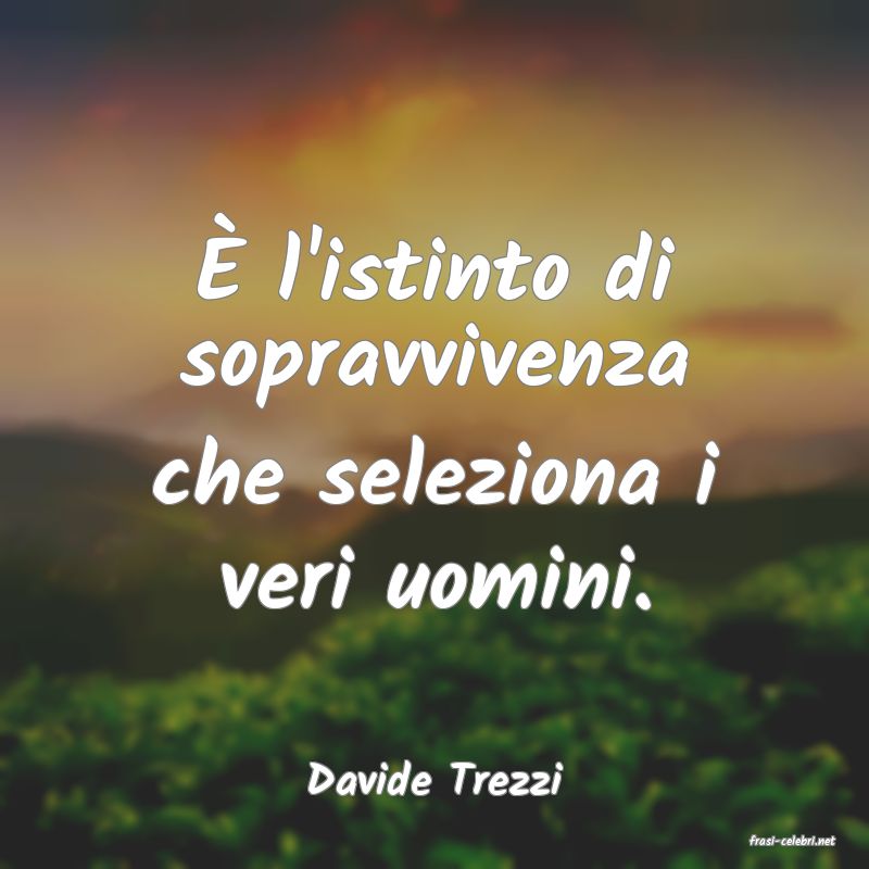 frasi di Davide Trezzi