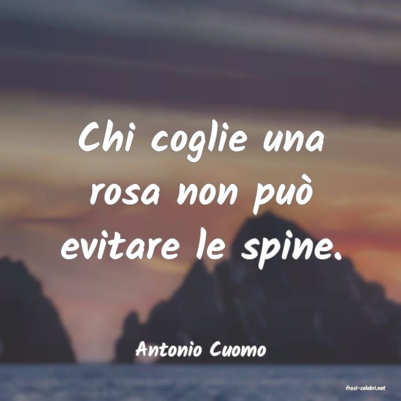frasi di  Antonio Cuomo
