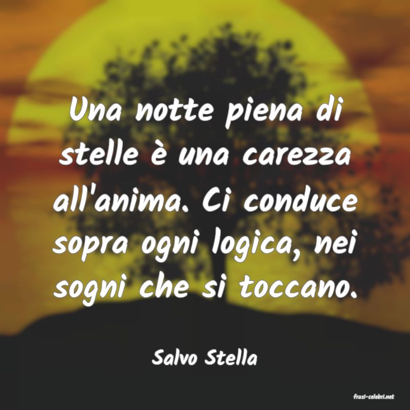 frasi di  Salvo Stella
