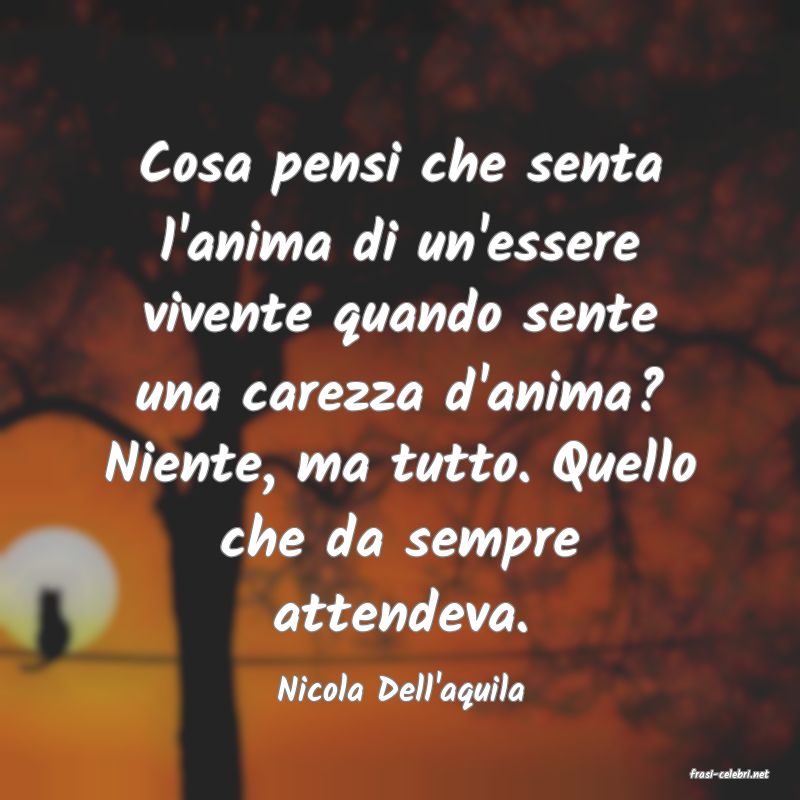 frasi di  Nicola Dell'aquila
