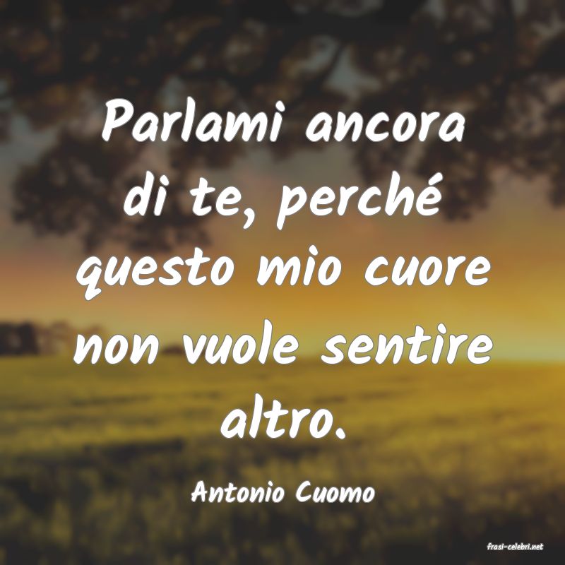 frasi di  Antonio Cuomo

