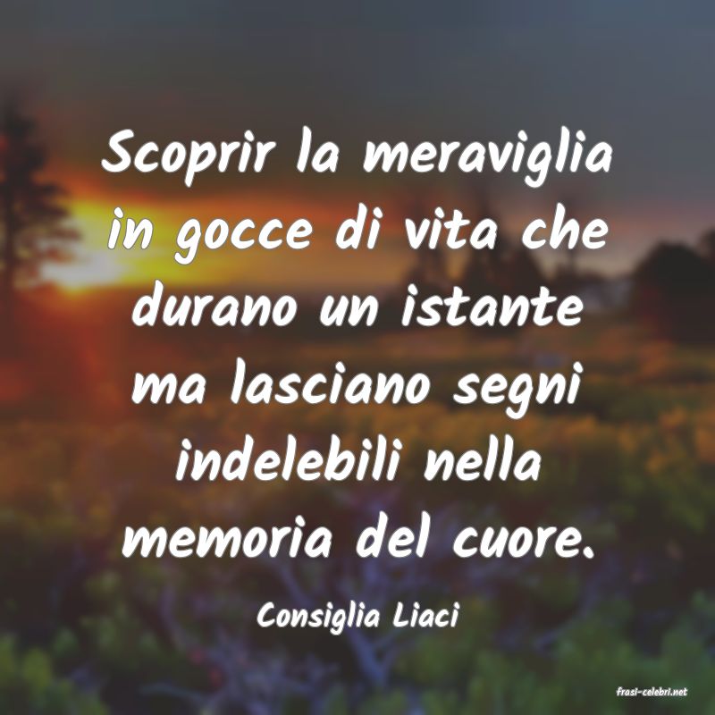 frasi di  Consiglia Liaci
