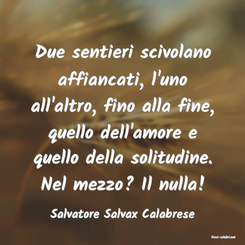 frasi di  Salvatore Salvax Calabrese
