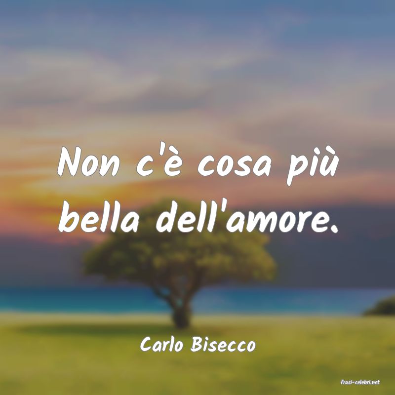 frasi di  Carlo Bisecco
