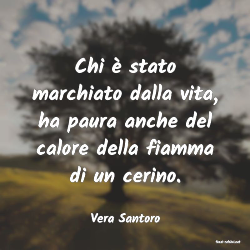 frasi di  Vera Santoro
