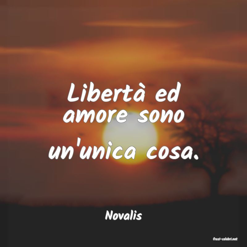 frasi di  Novalis
