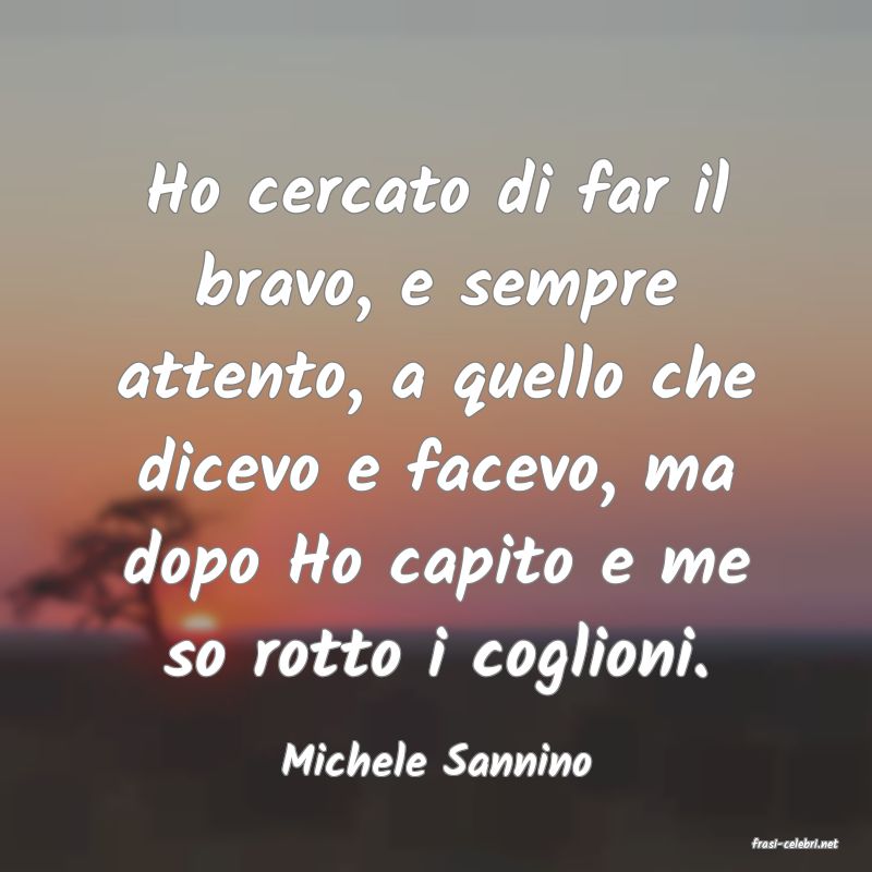 frasi di  Michele Sannino
