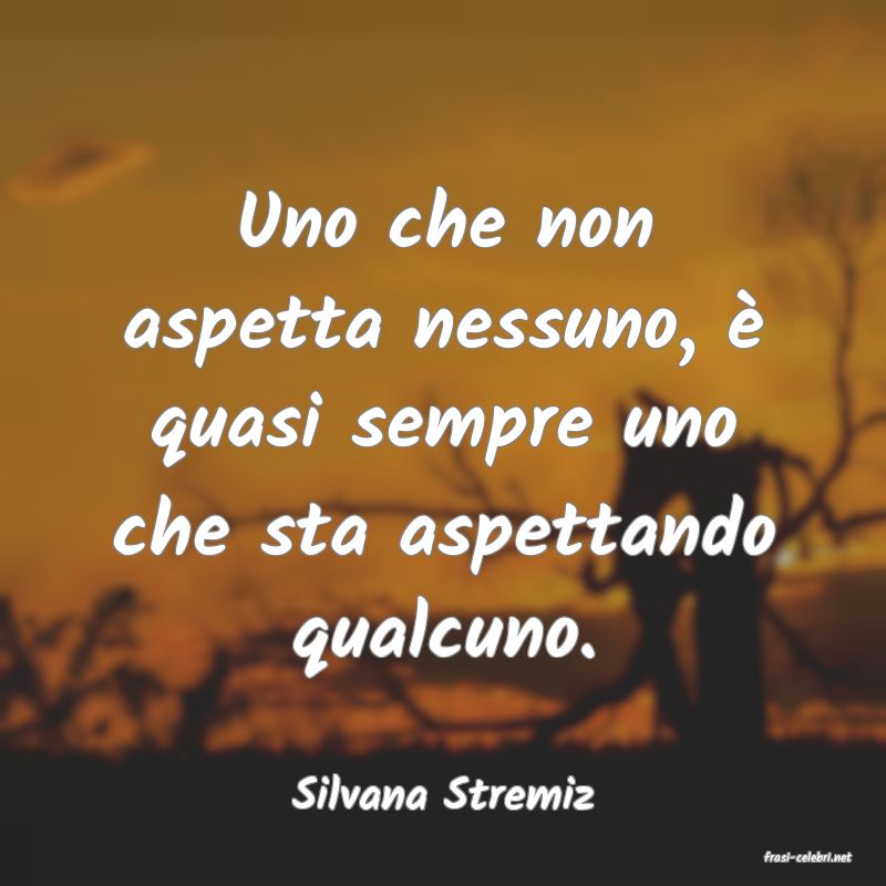 frasi di Silvana Stremiz