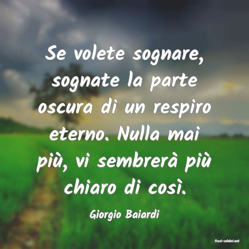 frasi di  Giorgio Baiardi
