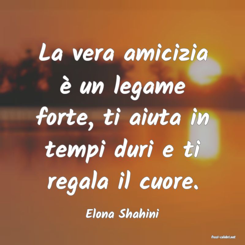 frasi di  Elona Shahini
