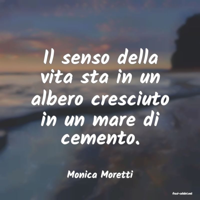 frasi di  Monica Moretti
