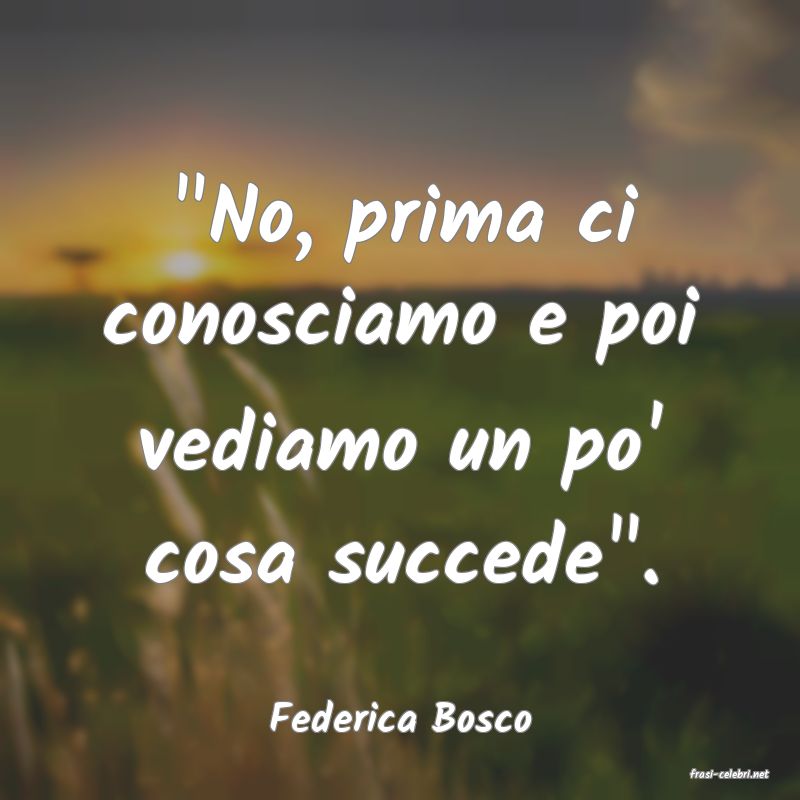 frasi di Federica Bosco