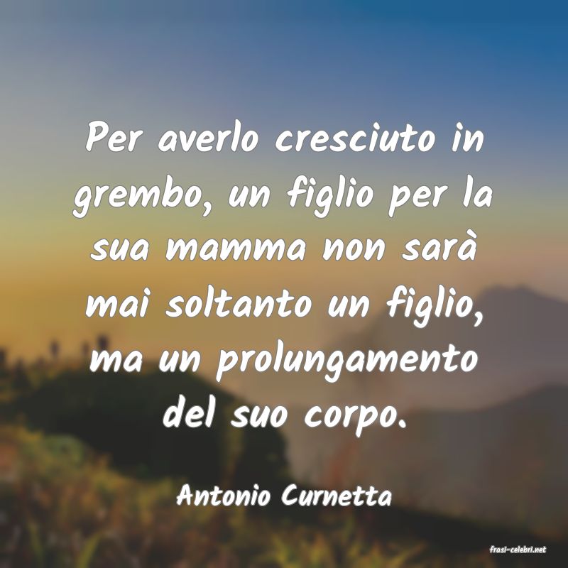 frasi di  Antonio Curnetta
