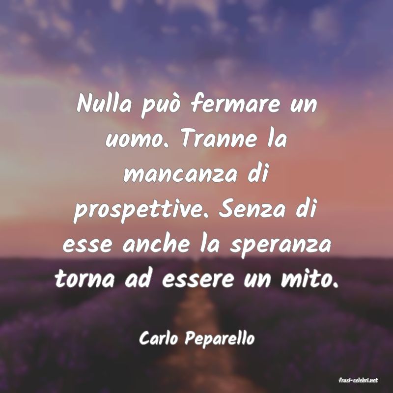 frasi di  Carlo Peparello
