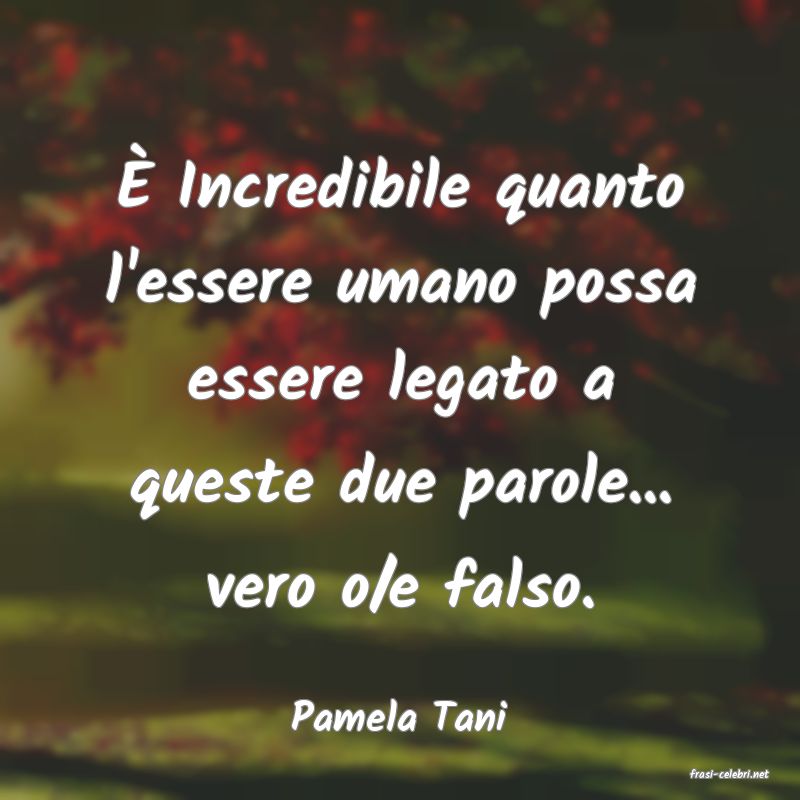 frasi di Pamela Tani