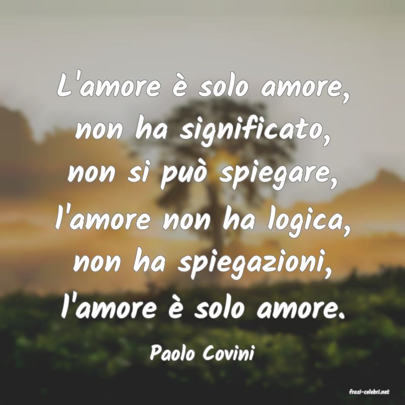 frasi di  Paolo Covini
