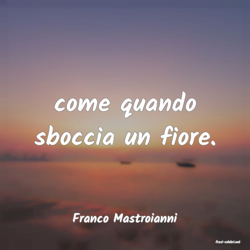 frasi di  Franco Mastroianni
