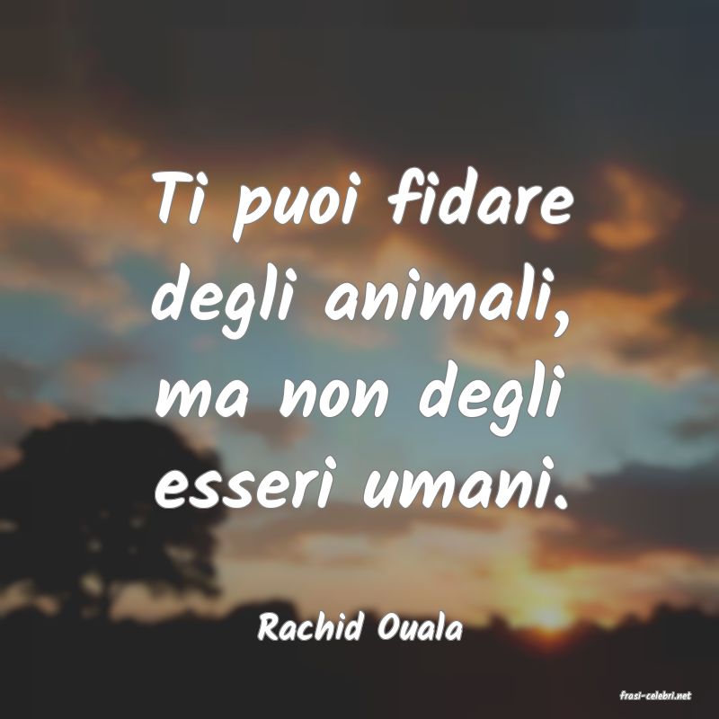 frasi di  Rachid Ouala
