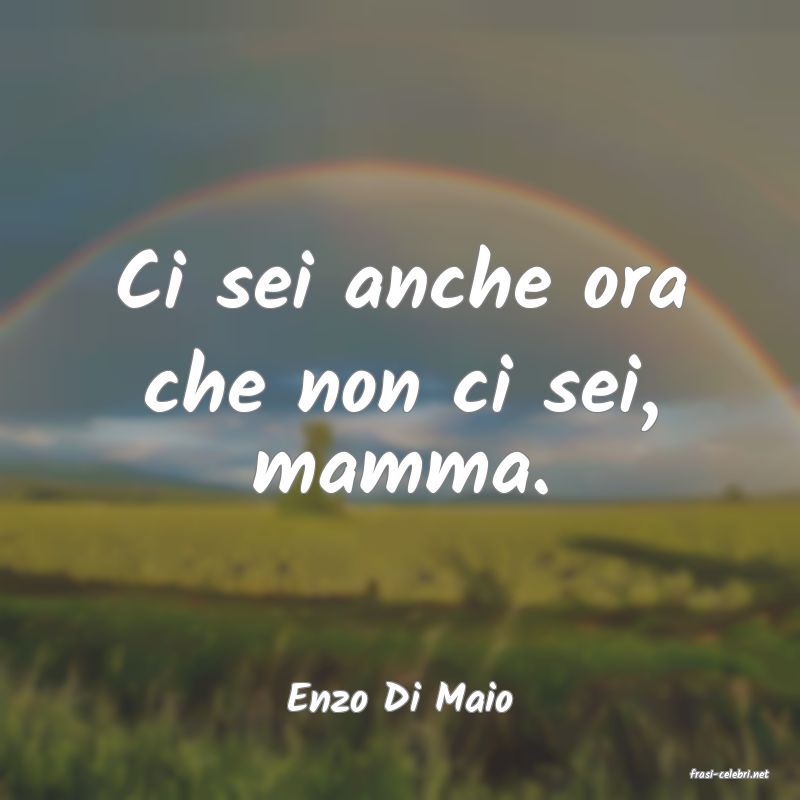 frasi di  Enzo Di Maio
