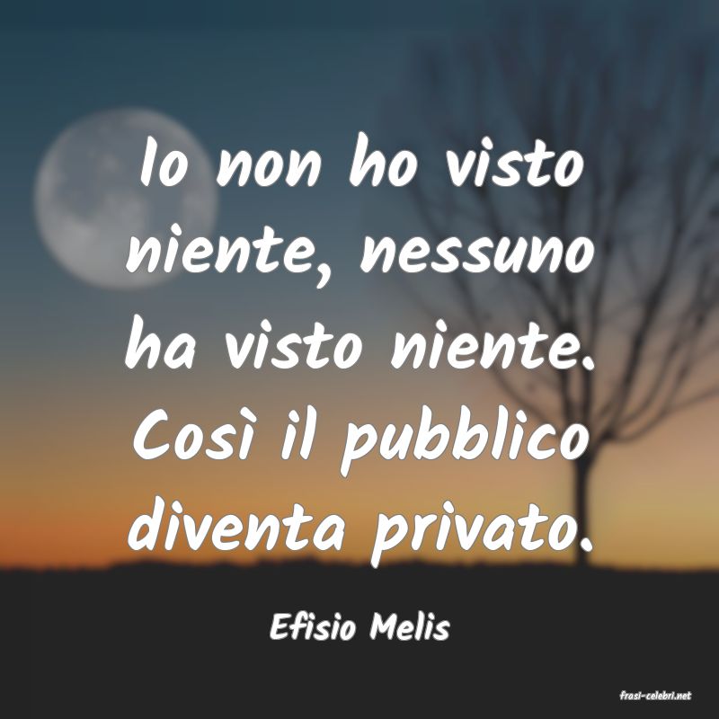 frasi di  Efisio Melis
