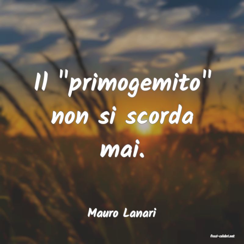 frasi di  Mauro Lanari

