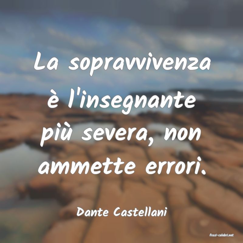 frasi di  Dante Castellani
