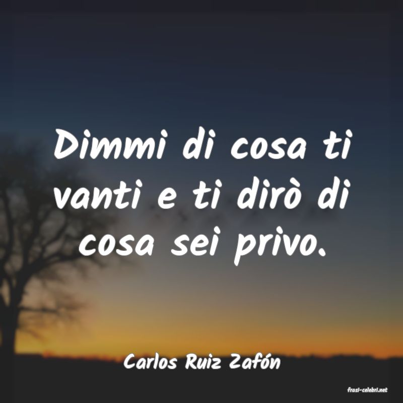 frasi di Carlos Ruiz Zafn
