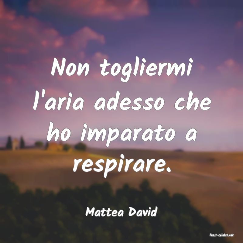 frasi di  Mattea David
