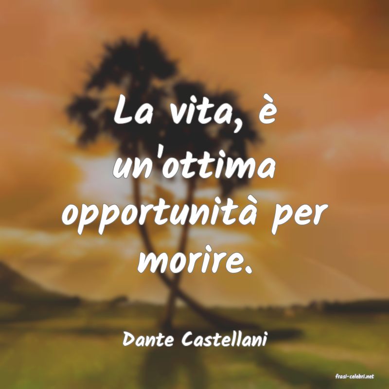 frasi di  Dante Castellani
